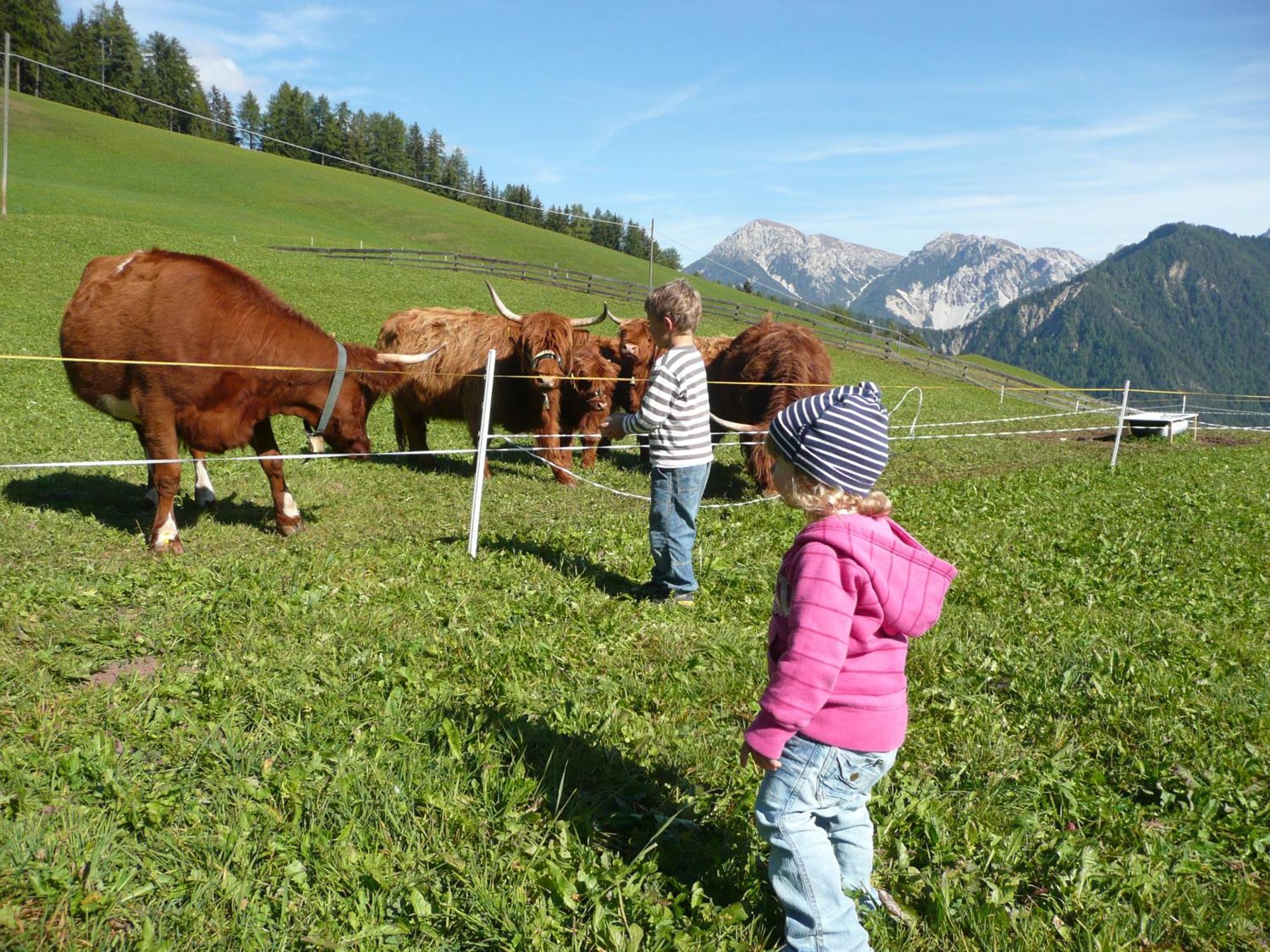 Chi Plans Séjour à la ferme Antermoia